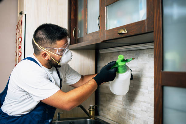 Best Residential Pest Control  in Bright, IN