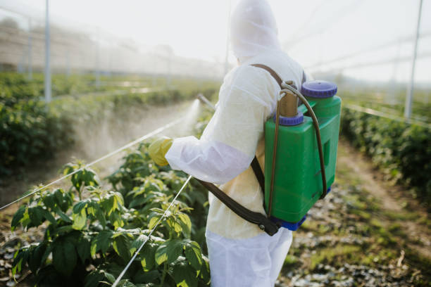 Best Commercial Pest Control Services  in Bright, IN